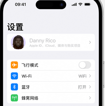 东成镇appleID维修服务iPhone设置中Apple ID显示为灰色无法使用