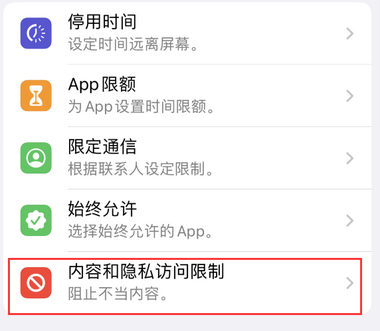 东成镇appleID维修服务iPhone设置中Apple ID显示为灰色无法使用