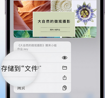 东成镇apple维修中心分享iPhone文件应用中存储和找到下载文件