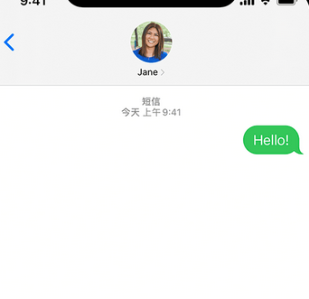 东成镇apple维修iPhone上无法正常发送iMessage信息