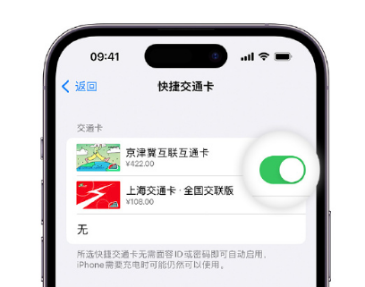 东成镇apple维修点分享iPhone上更换Apple Pay快捷交通卡手绘卡面 