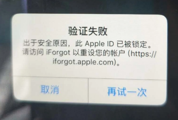 东成镇iPhone维修分享iPhone上正常登录或使用AppleID怎么办 