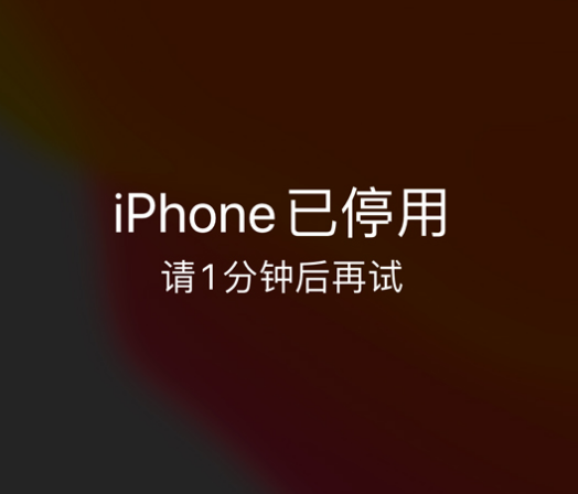 东成镇苹果手机维修分享:iPhone 显示“不可用”或“已停用”怎么办？还能保留数据吗？ 