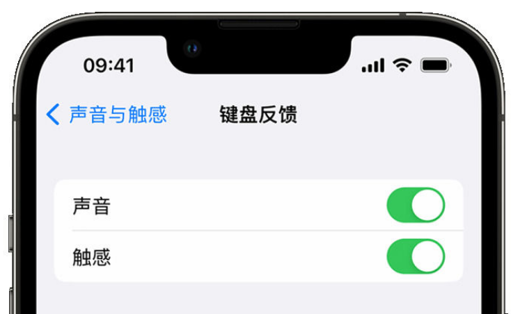 东成镇苹果手机维修分享iPhone 14触感键盘使用方法 