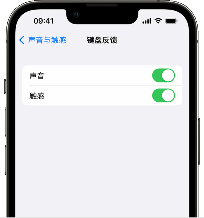 东成镇苹果14维修店分享如何在 iPhone 14 机型中使用触感键盘 