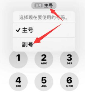 东成镇苹果14维修店分享iPhone 14 Pro Max使用副卡打电话的方法 