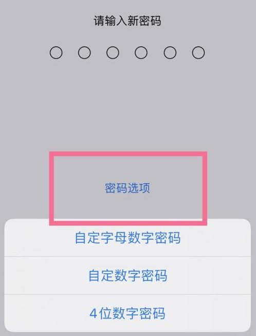 东成镇苹果14维修分享iPhone 14plus设置密码的方法 