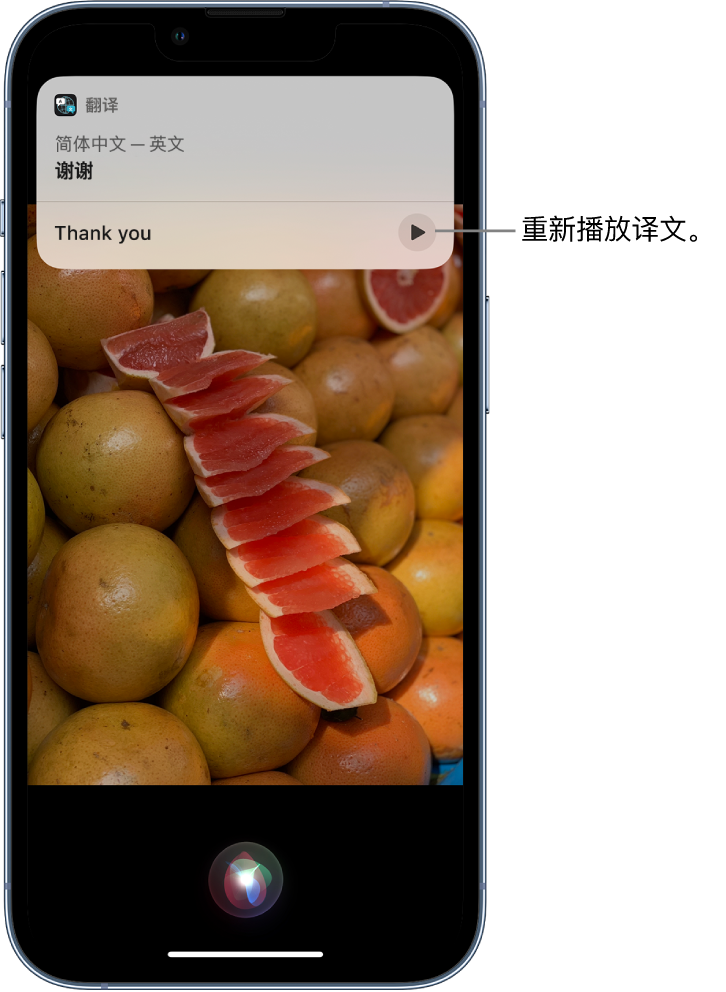 东成镇苹果14维修分享 iPhone 14 机型中使用 Siri：了解 Siri 能帮你做什么 