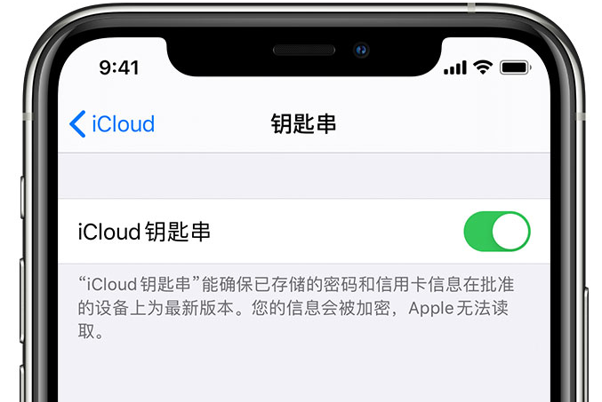 东成镇苹果手机维修分享在 iPhone 上开启 iCloud 钥匙串之后会储存哪些信息 