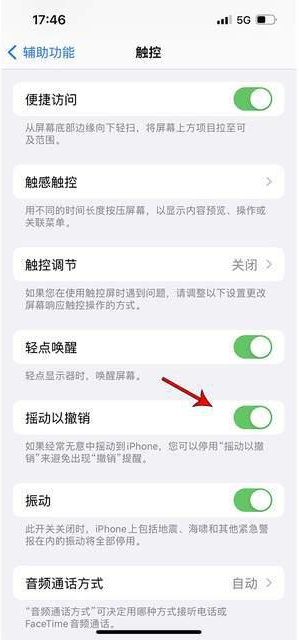 东成镇苹果手机维修分享iPhone手机如何设置摇一摇删除文字 